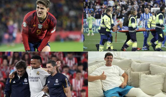 的动态变化 的动态变化