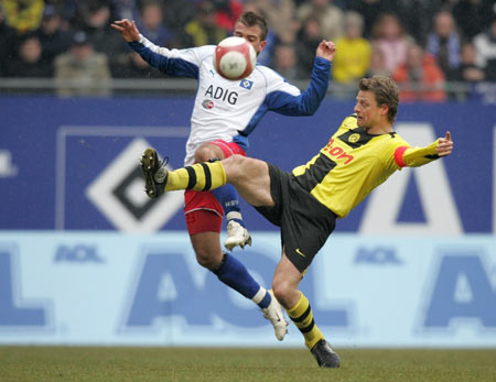 海篮球界的 海篮球界的